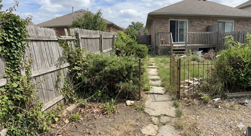 Clôture avant travaux — palissade bois abîmée, végétation envahissante et passage dégradé